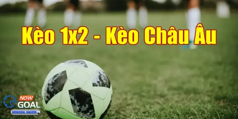 Kèo cược Châu Âu hiện tại - Tỷ lệ kèo và sự thay đổi